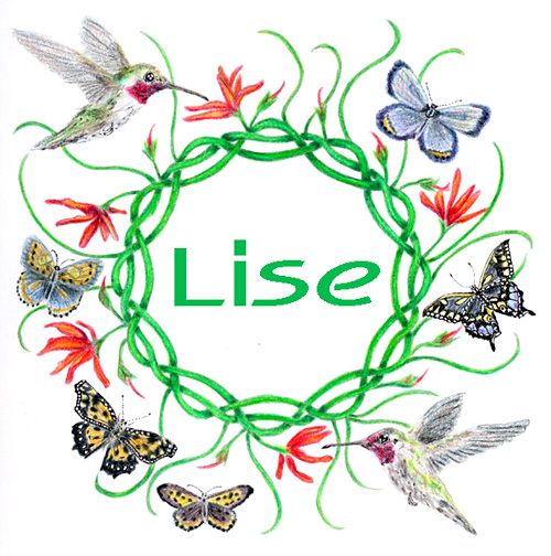 Lise Winne - Artist Website